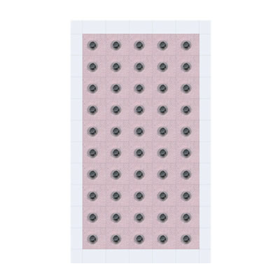 Semillas Con Adhesivo Textil
